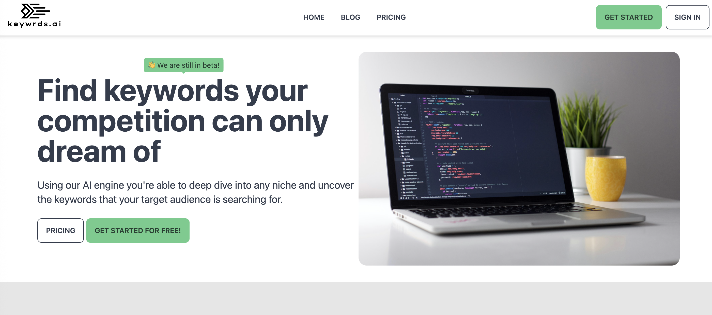 Keywrds.ai dashboard preview